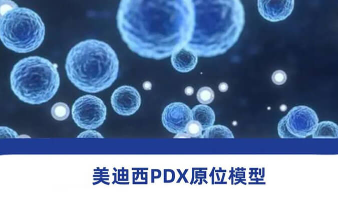 人生就是博118种PDX原位模型，助力肿瘤药物研发